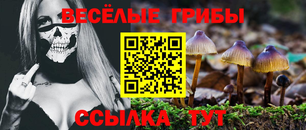 Псилоцибиновые грибы Psilocybe  Вход с VPN  Жигулёвск 